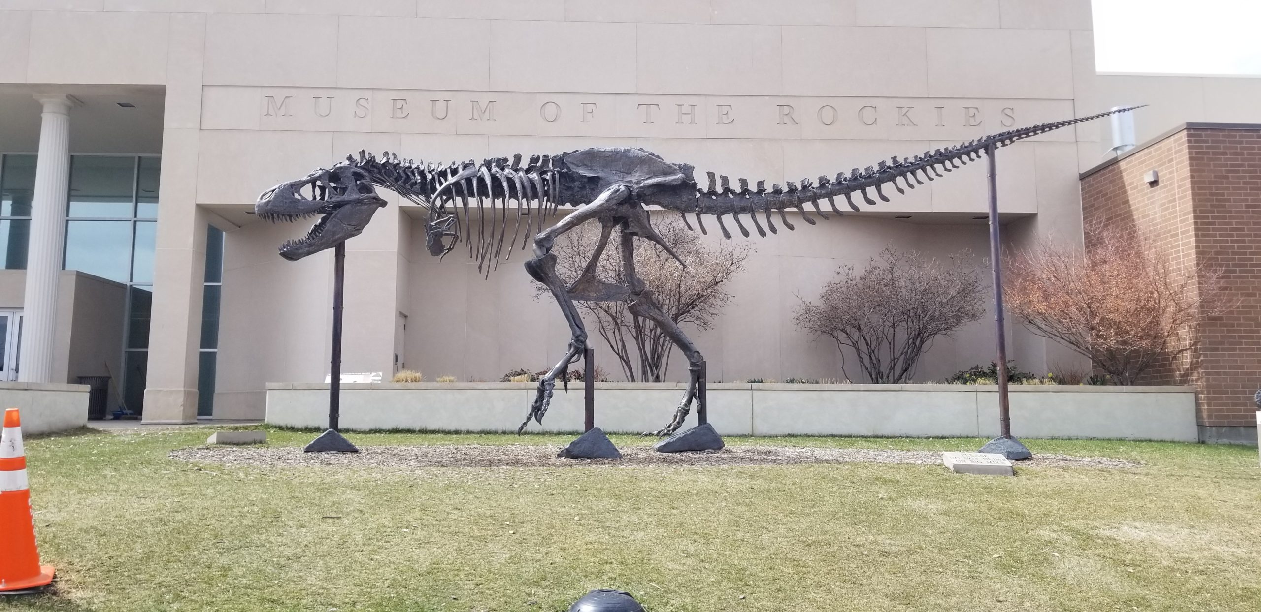 Museum of the Rockies