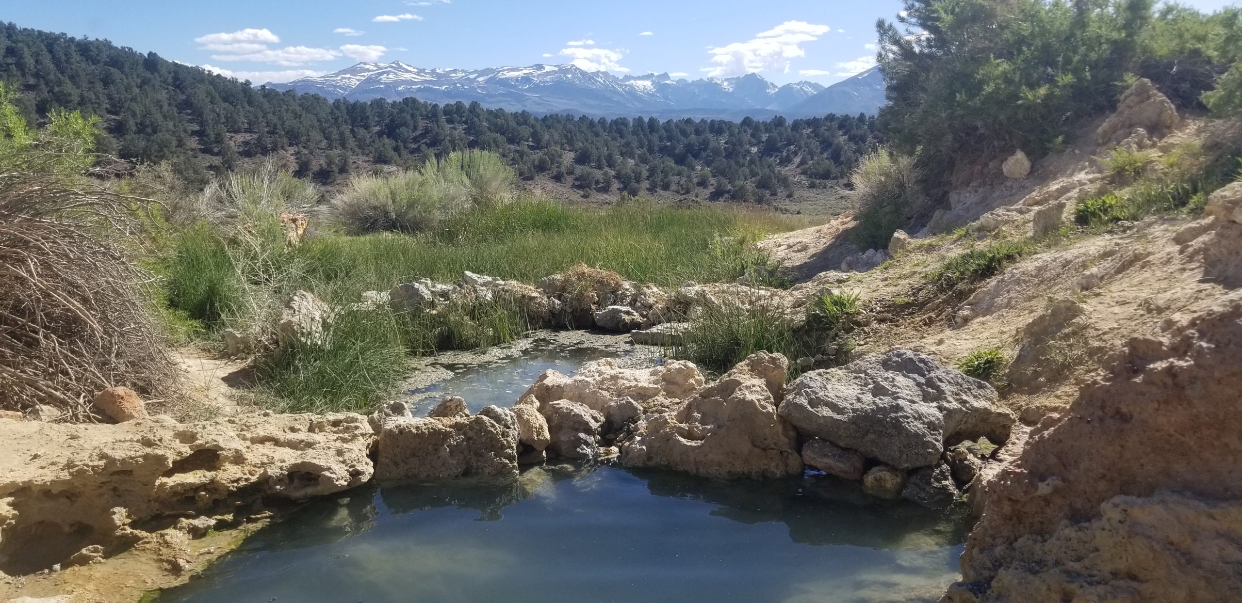 View of the Sierra Nevada's