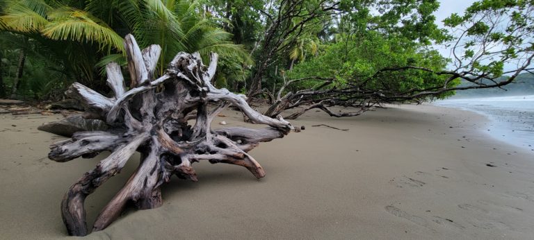 Playa Uvita